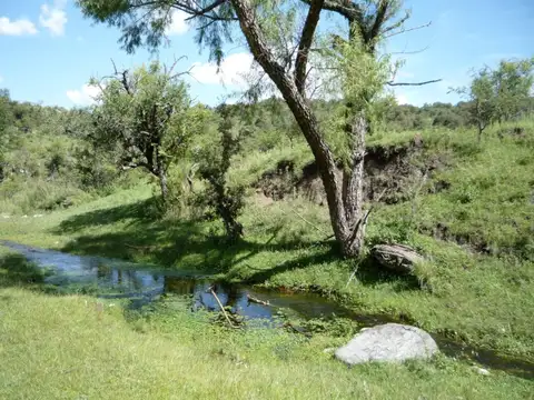 Vendo Campo de 3 ha a 5 ha con arroyo en Icho Cruz, en el Camino a Cabalango, Punilla