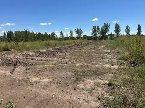 Terreno en Venta de 250,0 m2