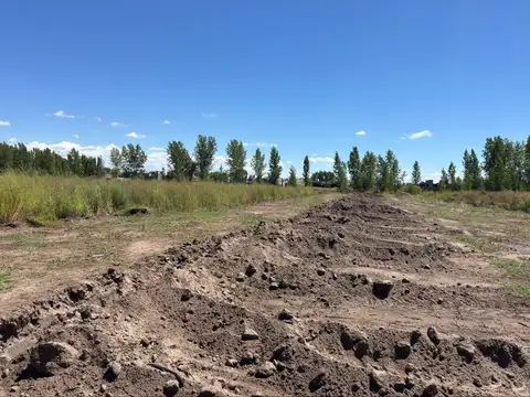 Terreno en Venta en Tunuyan, USD 14.000