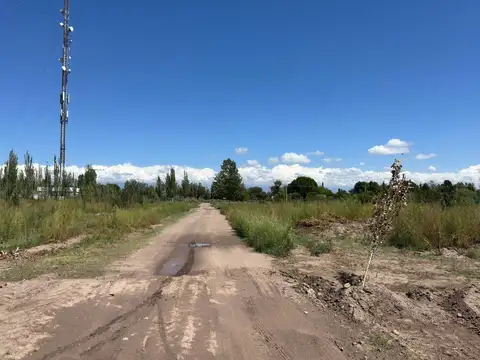 VENTA LOTE 250 m2  TUNUYAN CENTRO