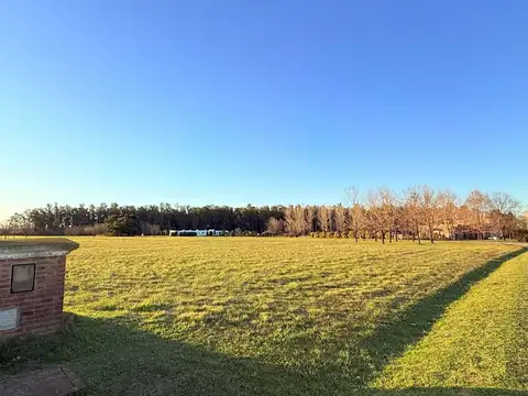 Terreno en Venta de 10121,0 m2