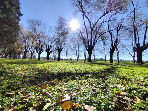 Terreno en Venta de 600,0 m2