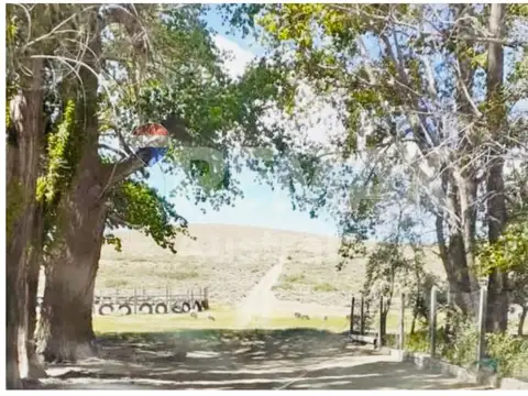 Campo EL FOGON  Las Heras Santa Cruz