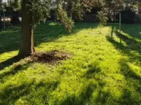 Terreno en Venta de 220,0 m2