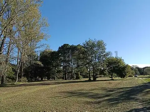 Terreno en Venta 53  mts Fondo