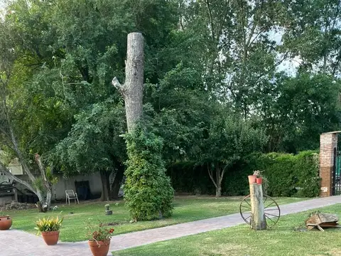 Quinta en Venta en Francisco Alvarez, USD 170.000