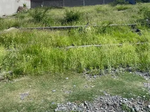 Avenida Juan Pablo Vera