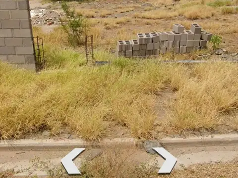 Avenida Juan Pablo Vera