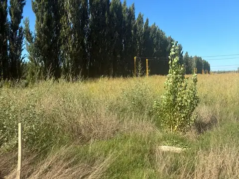 Terreno en Venta en Cervantes, USD 4.500