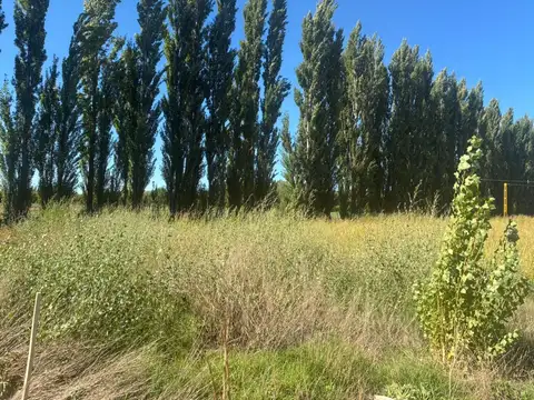 Terreno en Venta de 250,0 m2