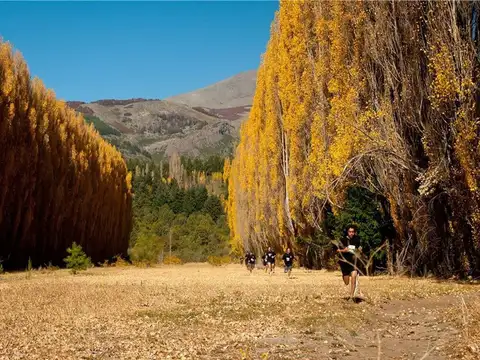 Terreno en Venta de 1223,0 m2