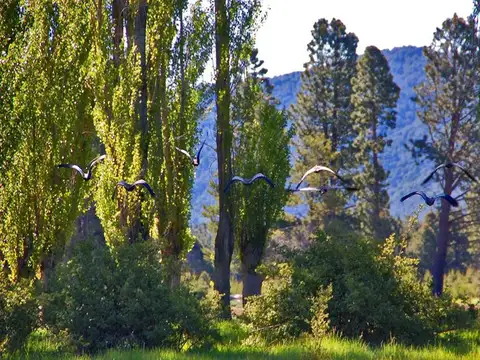 ACCESO VALLE DEL CHALLHUACO