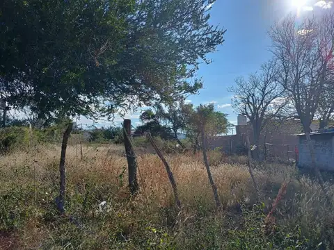 ISLAS ORCADAS DEL SUR 1120