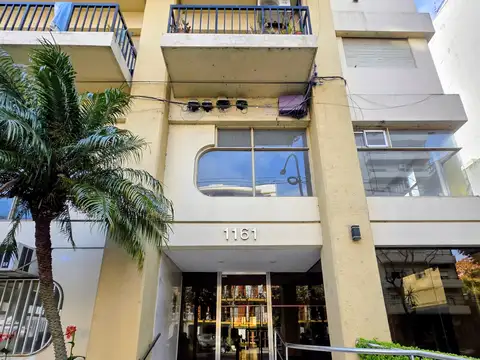 En Alquiler Monoambiente | Balcón con Vista Verde y Parcial Al Río | a m de Tren Mitre