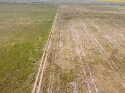 Campo en venta de 166ha ubicado en Isla Verde