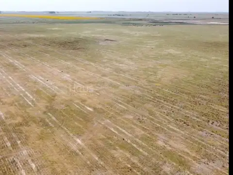 Campo en venta de 166ha ubicado en Isla Verde