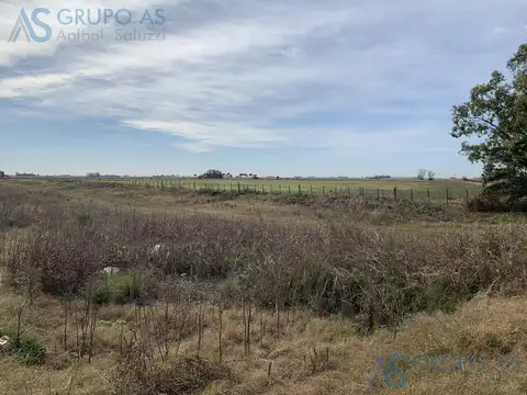 Excelente Campo Agricola de 62,73 has.