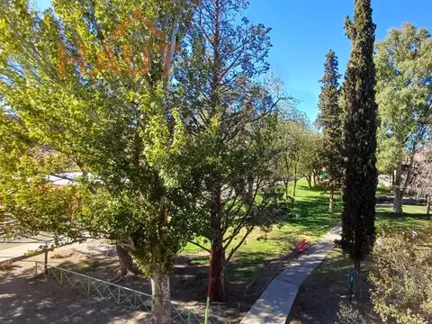Departamento en Alquiler A Estrenar