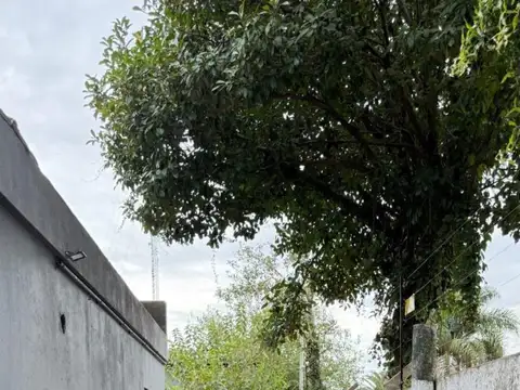 Casa en Alquiler con 2 cocheras