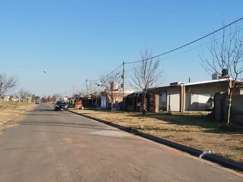 Silvestre Begnis 1000