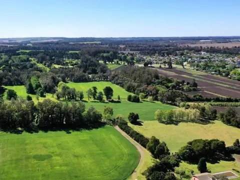 Campo sobre Ruta 88