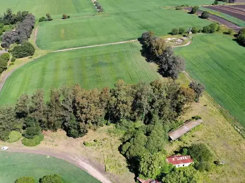 Campo sobre Ruta 88