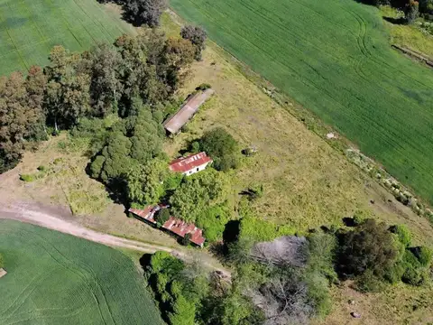 Campo sobre Ruta 88