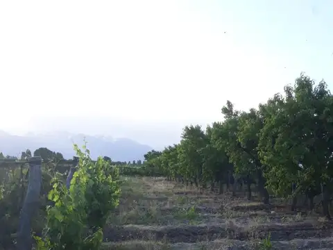 NICOLÁS QUIROGA S/N 100