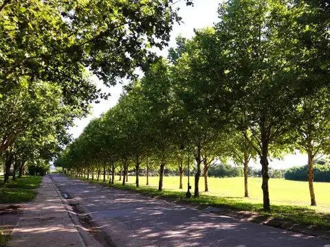 Terreno en Venta de 657,0 m2