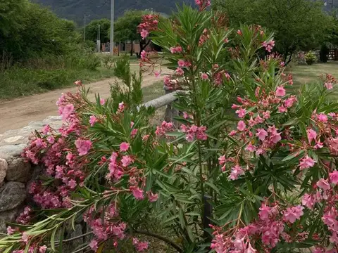 Complejo de cabañas en San Luis- Localidad Cortaderas