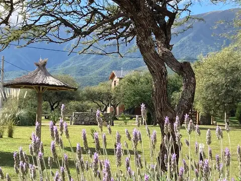 Complejo de cabañas en San Luis- Localidad Cortaderas