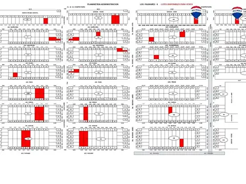 Lotes grandes  Palmares 4 (a 20 mts del pavimento)