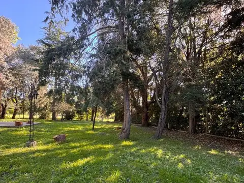 Quinta en Venta en Arturo Segui, USD 80.000