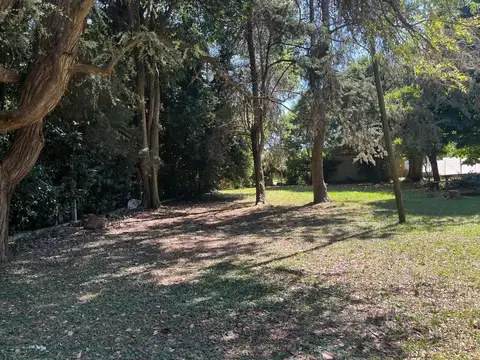 431 BIS Y Calle 229 100