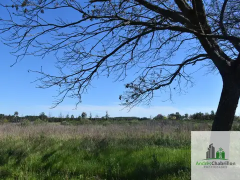 Terreno en Venta 80  mts Frente