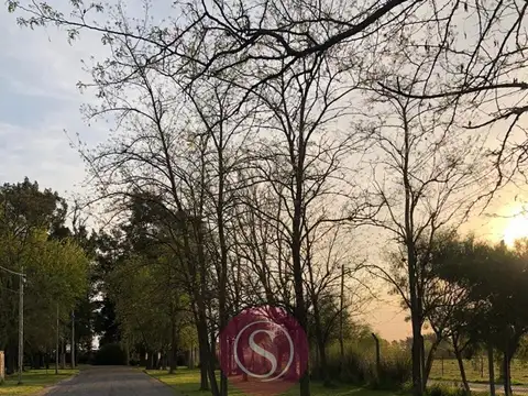 Lote  en Venta, Barrio Chacras Petión, Cañuelas