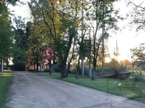 Lote/Terreno en Venta, Barrio Petión, Cañuelas 100