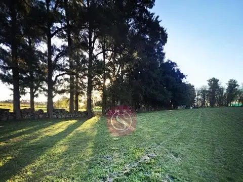 Lote  en Venta, Barrio Chacras Petión, Cañuelas