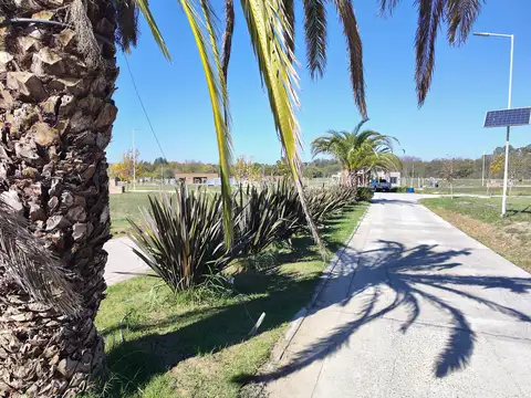 Ruta 7 y Jose María Perez 65000