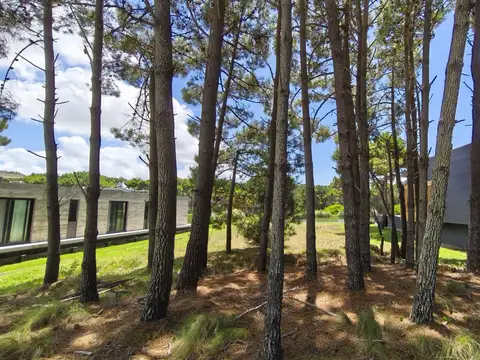 Venta de Lote en Villa Robles Barrio Brisas Barrio Privado