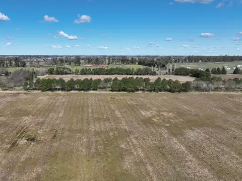 Campo en Venta Mixto