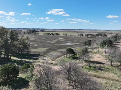 Campo Arbolado en General Rodríguez
