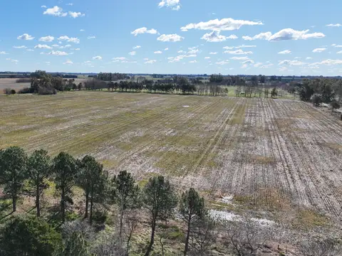 Campo en venta a metros de Ruta 6
