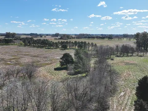 Campo en Venta de 244  ha