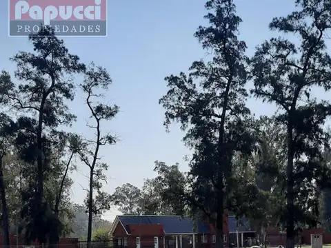 Terreno en Venta 42  mts Fondo