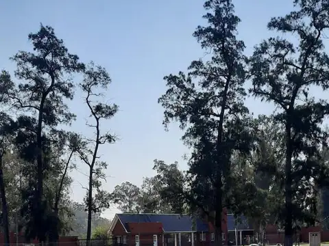 Terreno en Venta 42  mts Fondo