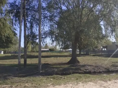 Puerto palos Nº3009