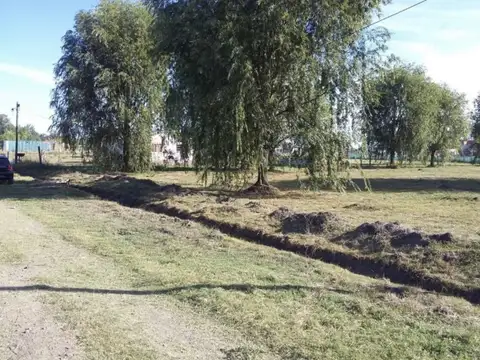 Puerto palos Nº3009