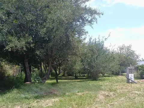 Terreno en Venta de 815,0 m2