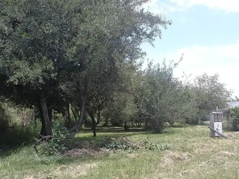 Terreno en Venta de 815,0 m2